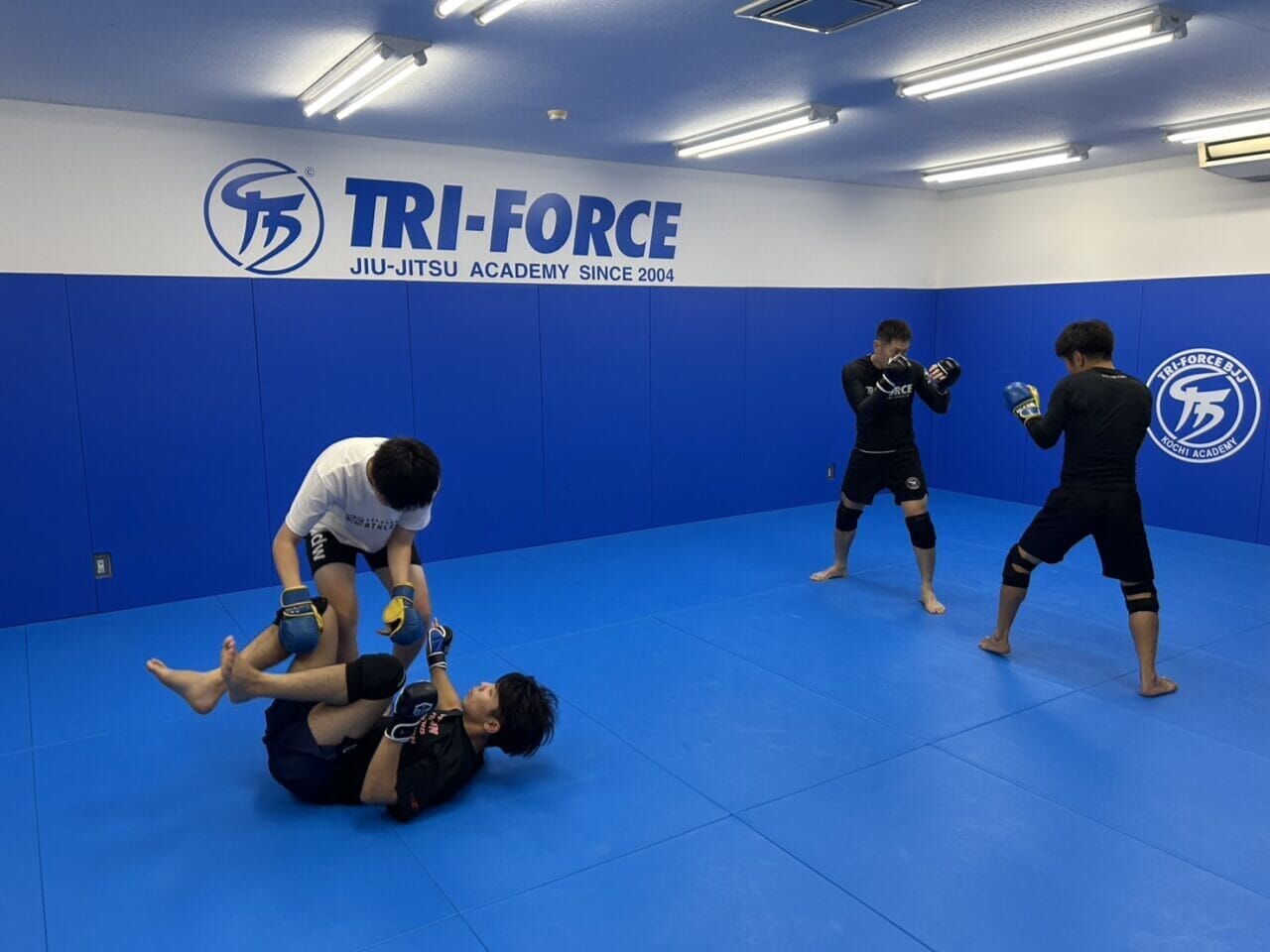 トライフォース高知のMMAクラス練習風景。初心者も安心して参加できる指導